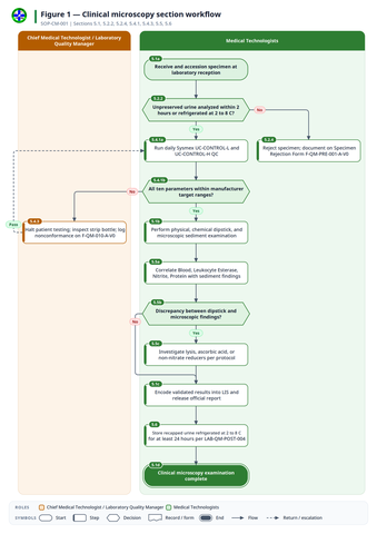 fig-01 — Clinical microscopy section workflow